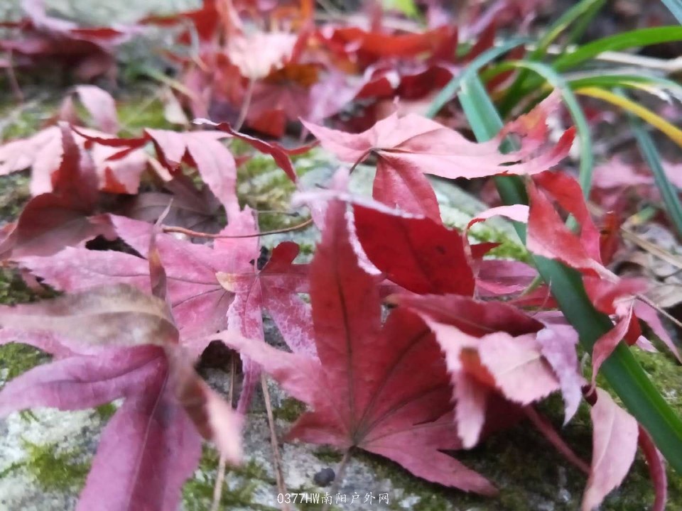 AdGg2aC35VJCe28eKfsAaEihPgWmTKgs8zeeU-_CLgWk0_yeT3zqxWLXhyC4U_2E