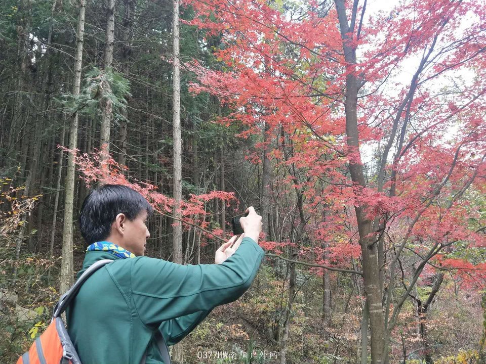 Z7Kb7EjrzqLO2zWqt9kwwbEvkHkTYf-W7MRg1BzxStZdW1G0o9MFUDTKvvstPQZk