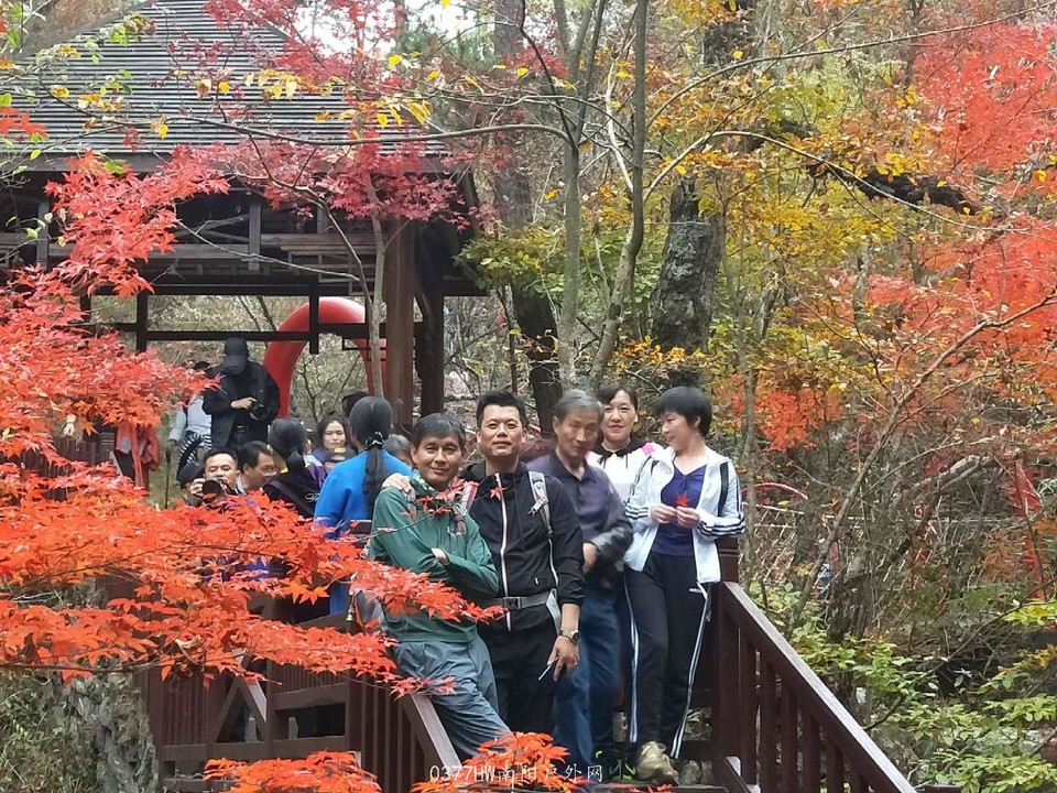 _aVp0sNGxndf3vhx1-GMnqKqBSf1l7PcEsIhAIkNctNv94qdd6UkDq6EzGHB_Y7A