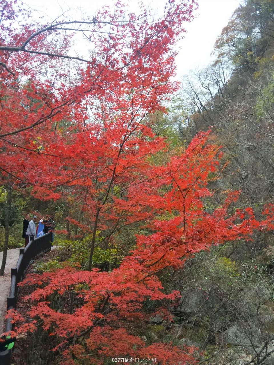 zVHCfiyhWRouR91EO5d1s1cVIywdqEjPXFgT21cL0omLuJ_LL6lkwN_l8CXJnPoq