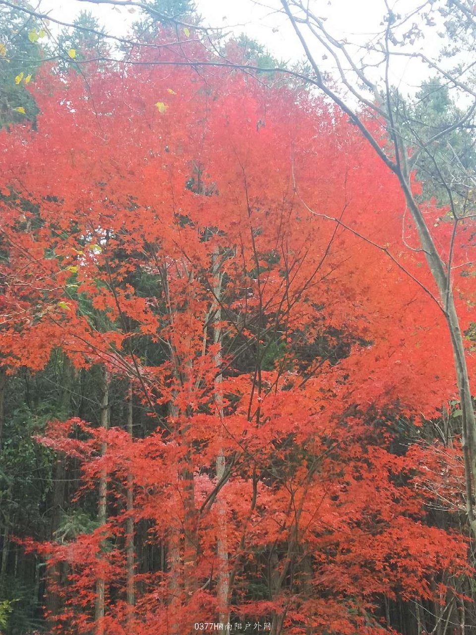 1baJB5u5oZ8x1dqbnbmzDDhTFwEO4iIQgM6hAsMWerz7u7czQaYyqQ2A0TDHuBmY