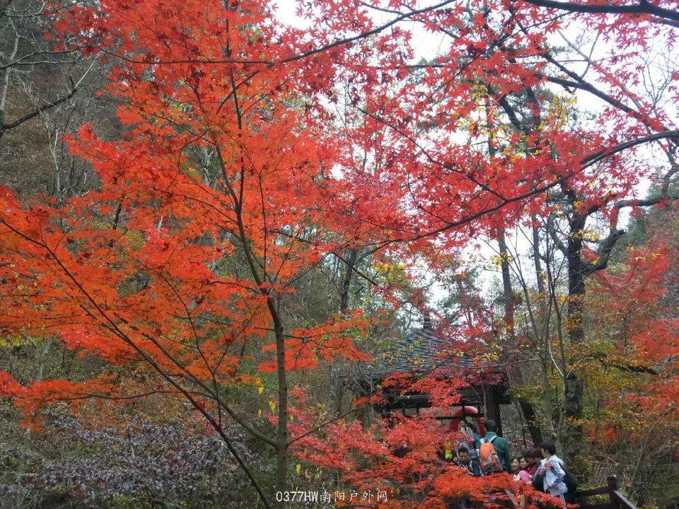 5THx5y6s-BMNEmv_4Qsp24PKTYs8T3pH85u9eHKNIw-2h-3iBBLNrg_SlPWc4cLx