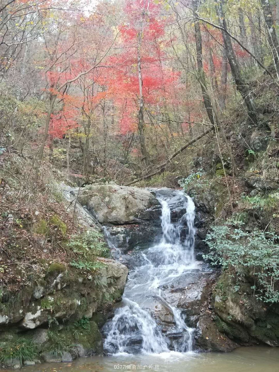 fxnM3vGjFh3S73B9oRUn8YoIrL3SsmpJ5ZYVilxmc5umxdFbtZxB__PZ0bB5sOXr