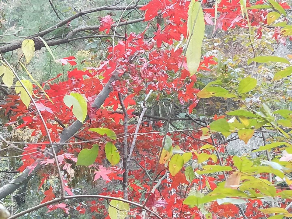 sTipIanYeM_twmx5Vcarc7YhlNwa35LDbrrA1bTlZqzsElZgxflGNKhboheNTvfQ