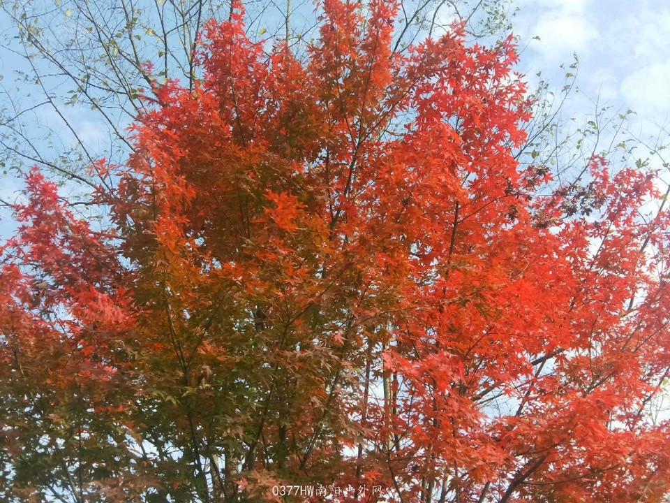 HI_ufnQouXHgJU1W4Bh-whUaHzIKOXnP5TeoXQ_kXflLPg2lJj4Ge-kJ2ZjuBzm6