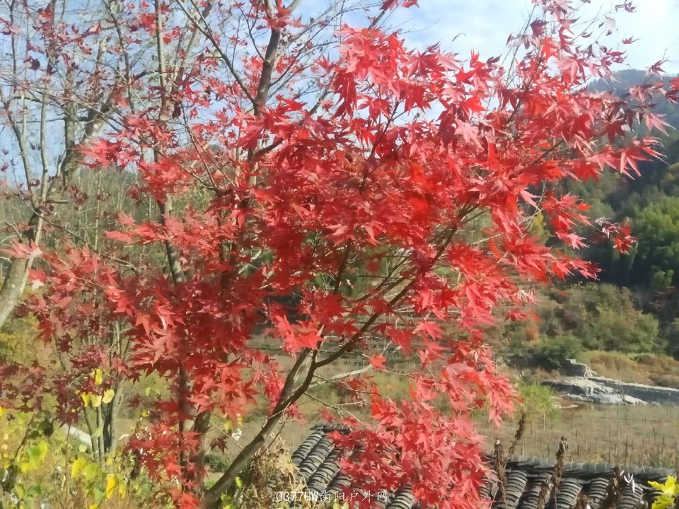 2JEG8U9cSOX3lzxXa4jUh22LPCJ5jSt0_ieH8x1jIH-2D9dhew1CLCsa1R8YItWV