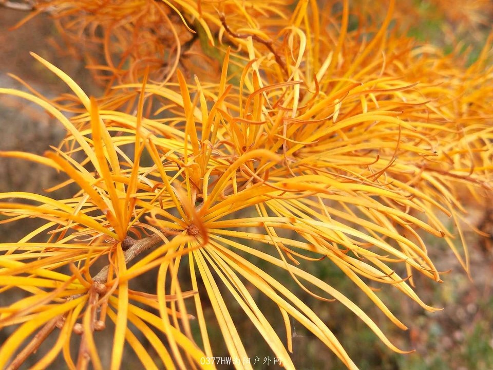 XN9nZ2a9UkftY6V6aociHpKZOavviZncHmxRmBG60mF0slTwjiDHQsxTyBj62-uc