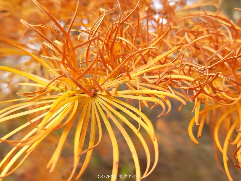 MzGxWzBlsny42edqwudAmstRs830-Dhaa_Hg3JxrKkK1QLf7ZHUlVXOsHcOFon8q