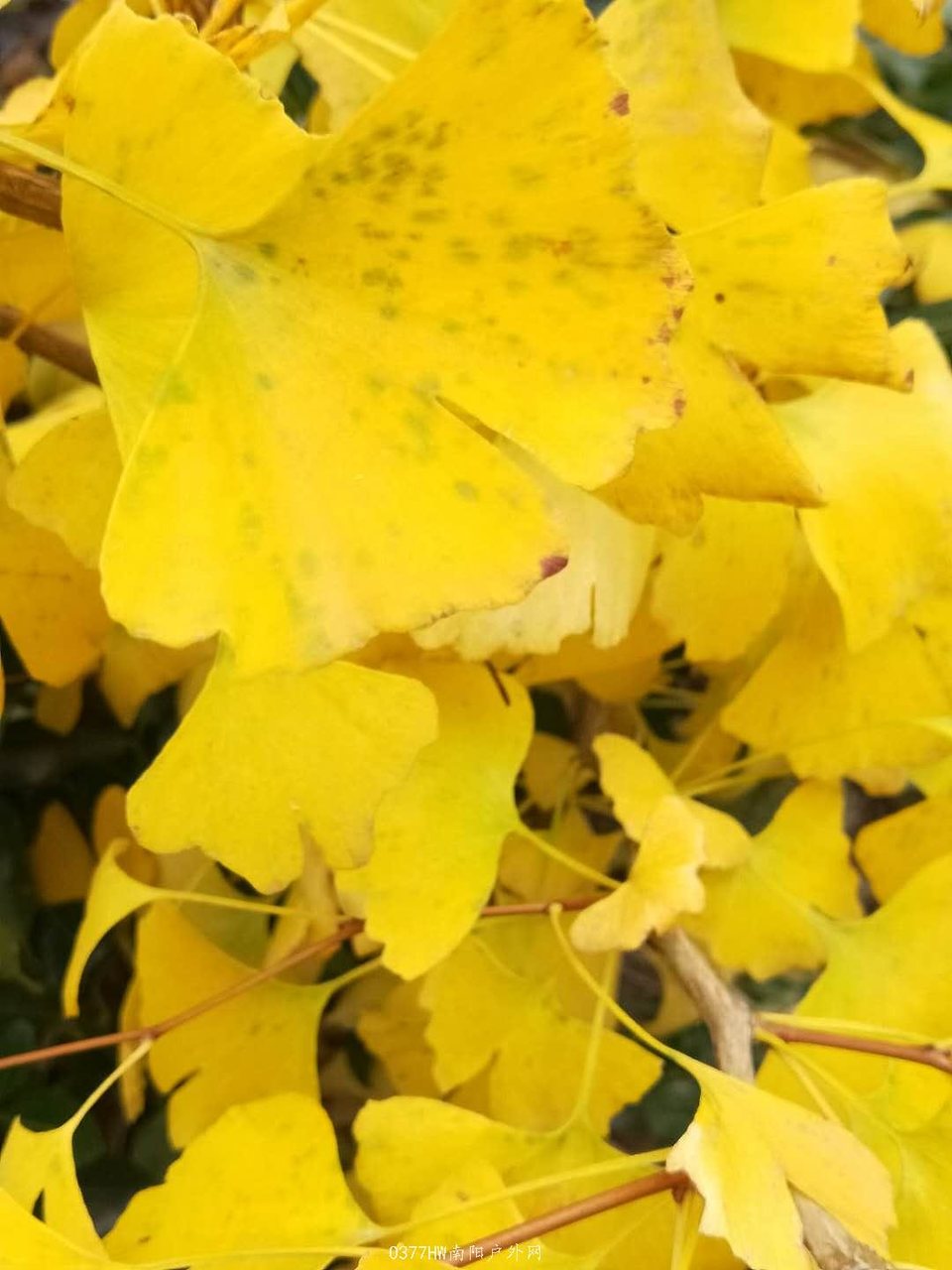 CSVvYSCQuYPXjAQepjLvwhoA2clABSG2kAGFQvVLF0IZngq-dy8p4aT2I2VSdw6p