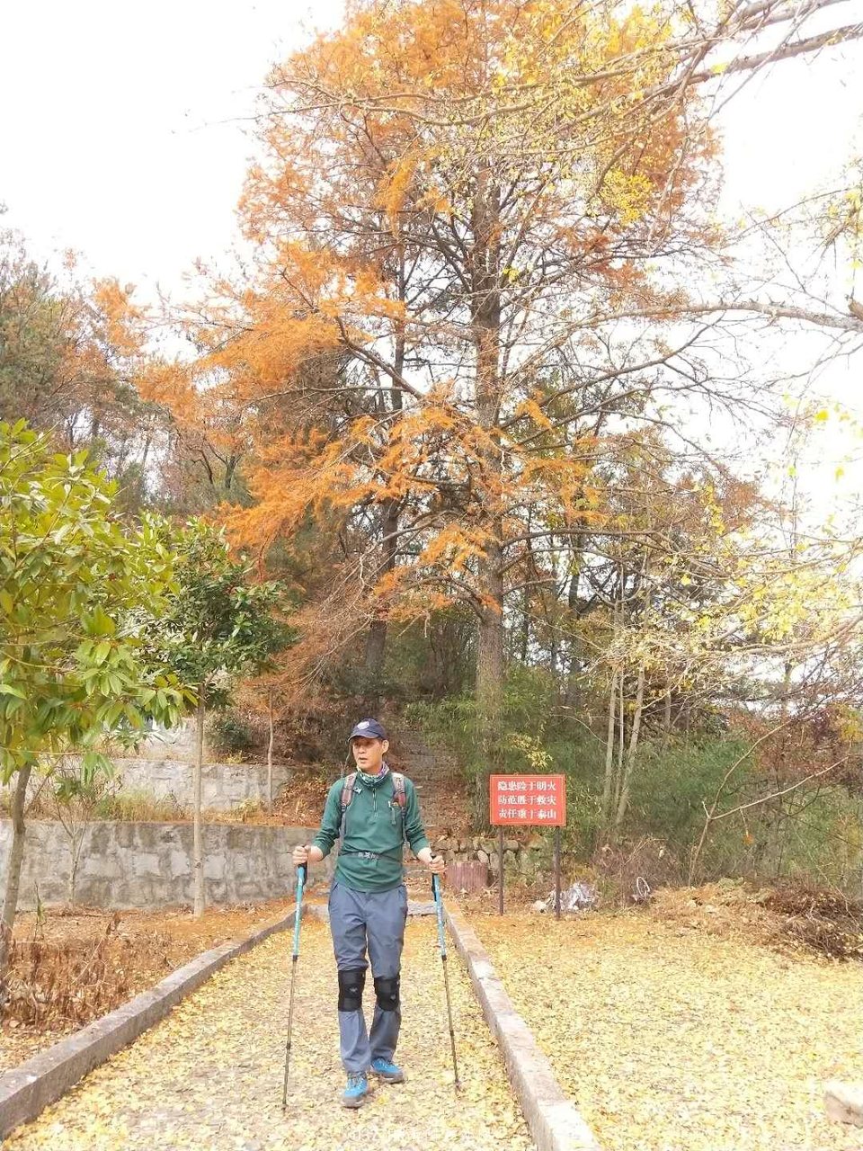 wlyTEHypgVDPvzbcze6WBMERqC21EPL1sRERBU9THgacNtuZvEuBx3Ky7dRCncbw