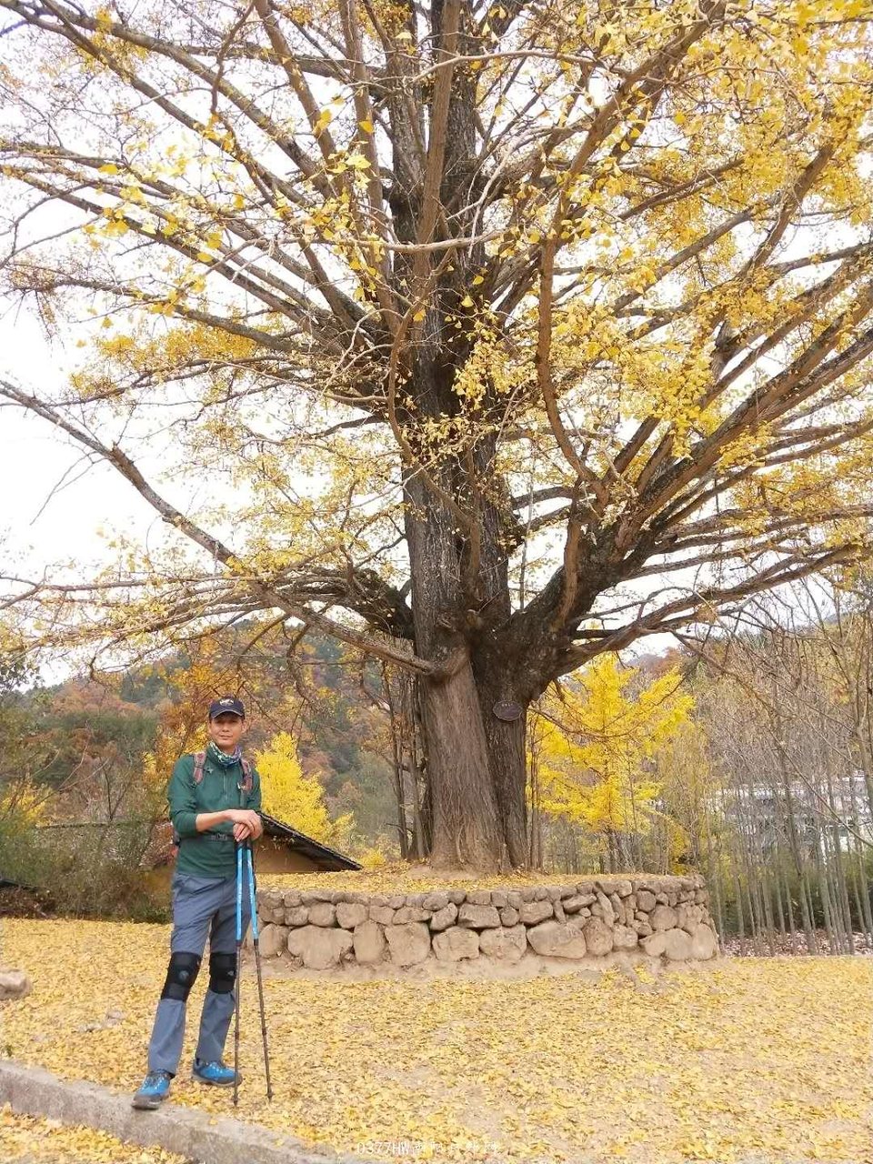 UA4nx4LuT6CnTbA1IhG_PTx_eywxHphn-3zRtnPjPRfvU7fXWcb_-UYOIVI9BDSk