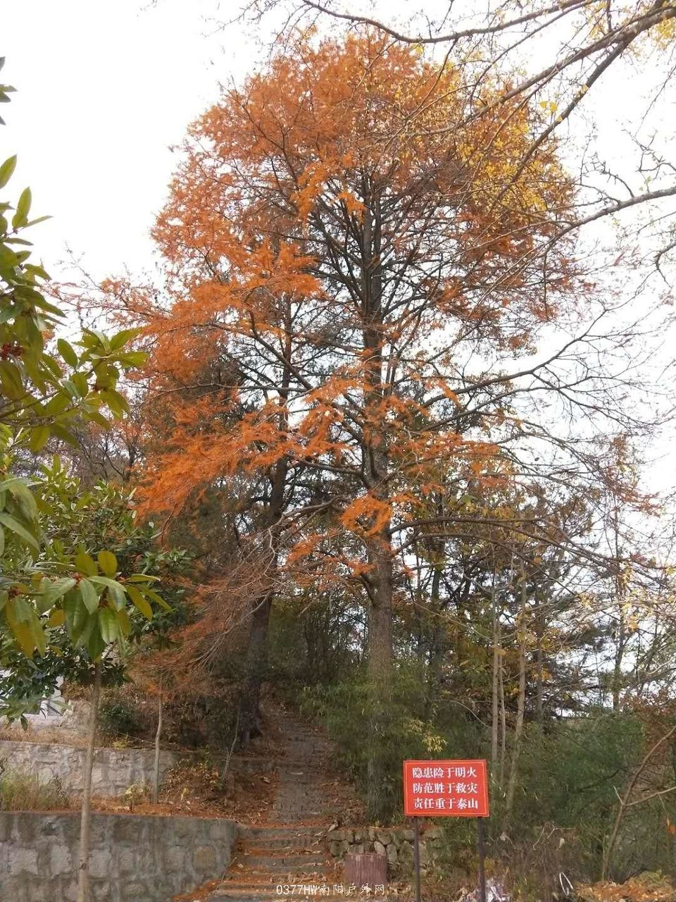 GHgZnc3dhUjXAfCq4FYzgonUHC3frsKadQdOQsAeRNKnQEtYRJ111Eo3SNZB78Uf