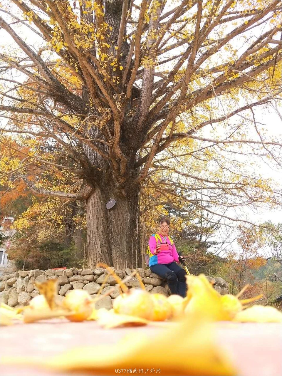 mSi7mPlsTITqFS4d1zdOMZIaBofZHxe0upcNF-nNFiceEBXQSFuoARFada5k2ZtZ