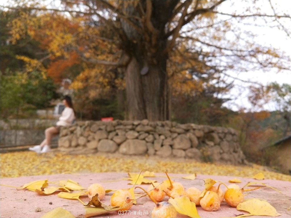 _bRep-mh5YdIuAvO9Duke1AdGRQ4kLccsZm3lm5Ni9mg_fCaaVzc8IgW6aQ1SjgI