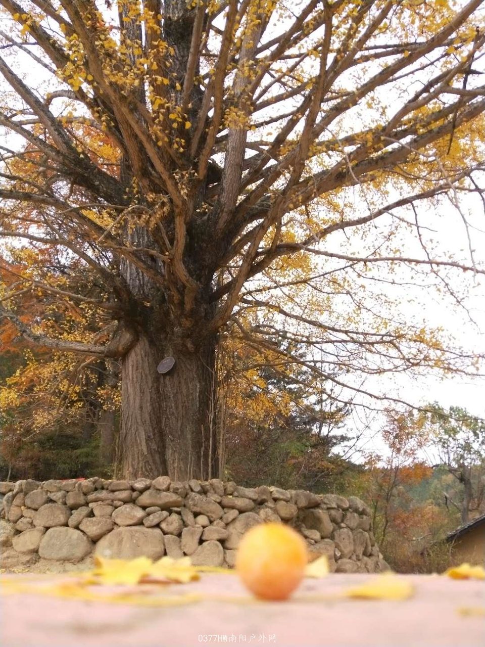 sgCspSPPuTHzFEUHHdRGBygHweRlMWH-z0pI6Sgx2EafC_W-EUkqpOMSC9eF8JoQ