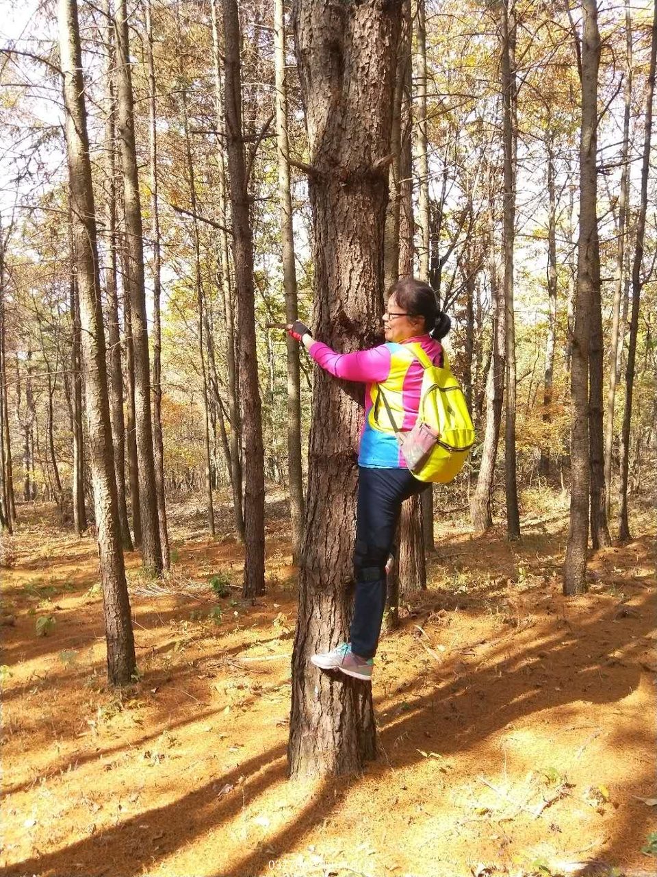 WaoiflUy5Iaz3cn565j_MgW-OiVsulek61Vh5dDtiADxr0Ew3wJl6GQTkGRovcne