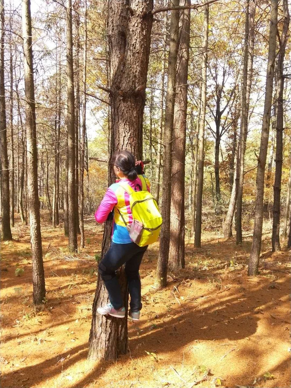 SIWQOhNN9r5A1cc8gAS79iOQT0ywr0JxSFTflfNBK5cUrlGJE2kAa0G2Cqim5wKC