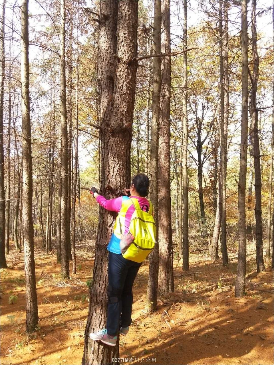 Tdai9pA65a-I8Cf8Y6PBI_Nu-pmSusGfzbqDa-N0JQRWcor8d_a_OH9suvYlY_Z5