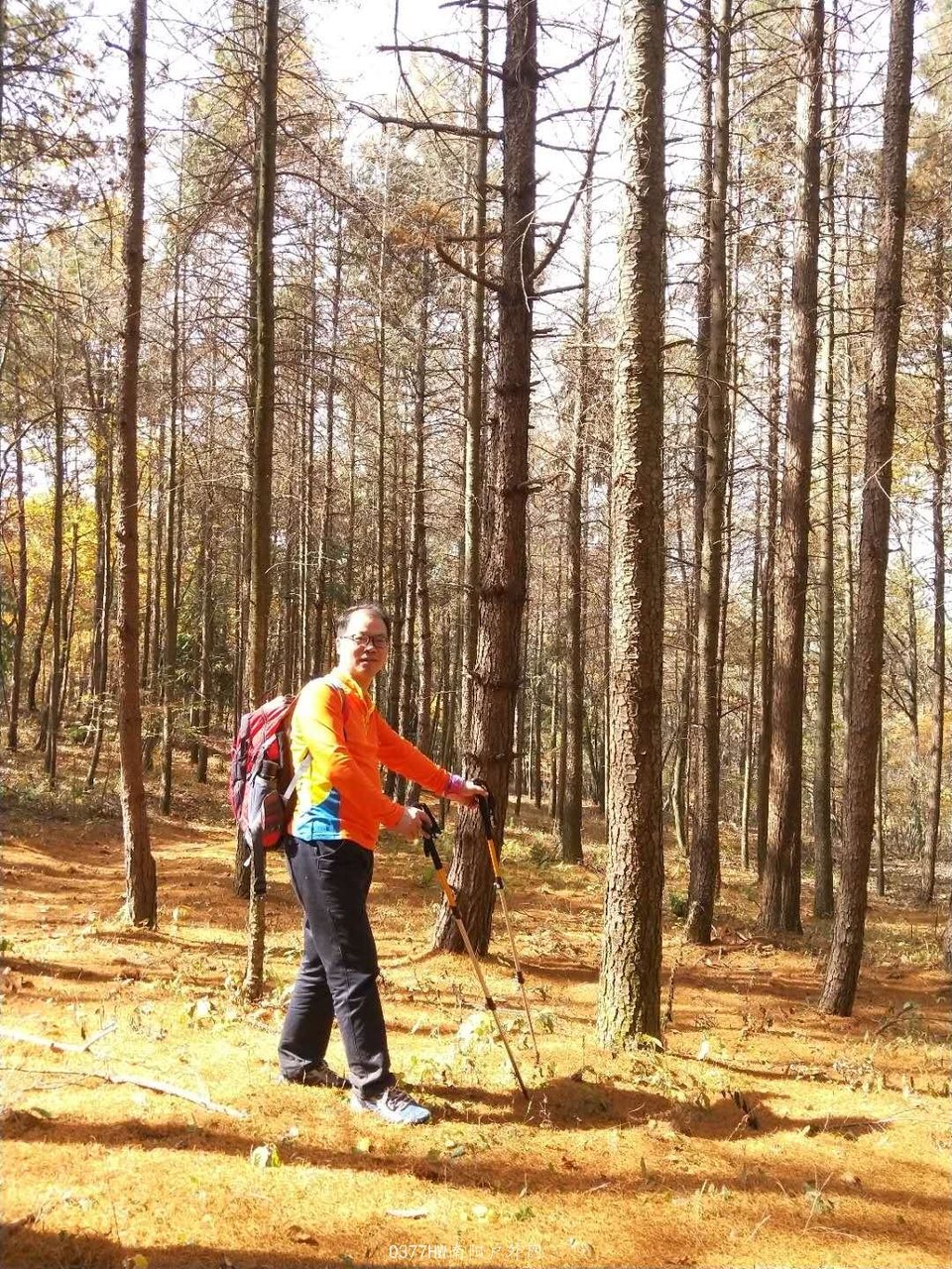 Asev7iXoPhBXwjUy_tU38z0wXK6q6e7wcRDxduRdr98hooclGVeFBx1rq4s4twEQ