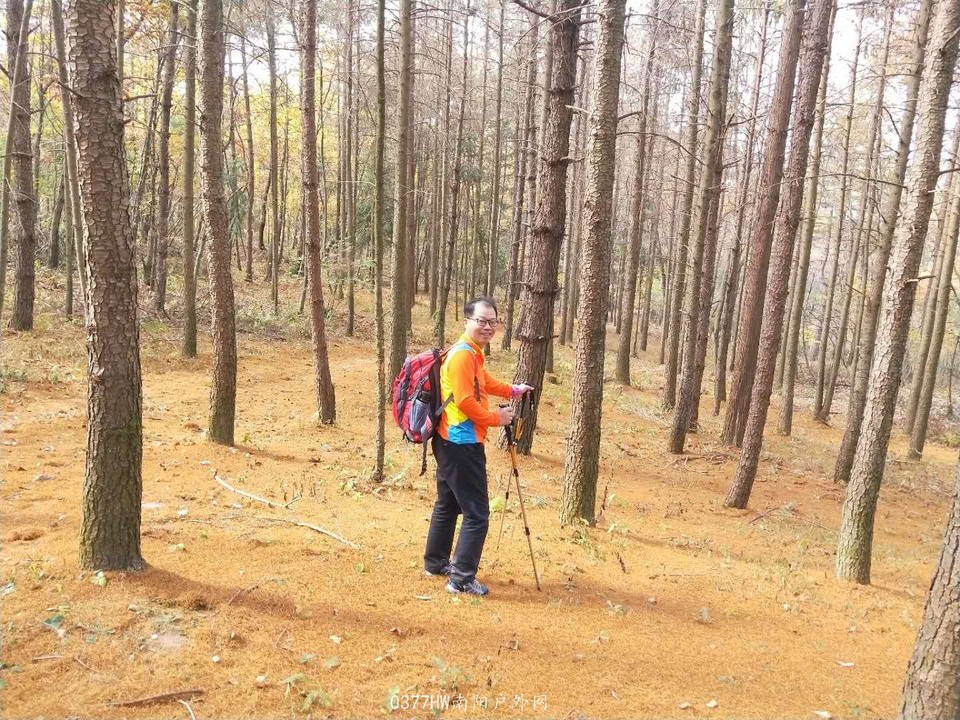 Ode1GEOoovMsCp_tXNW046LLnEk0S3RqfyLfTbBN4eBV6r5T7lGzvklS_4bffNd2