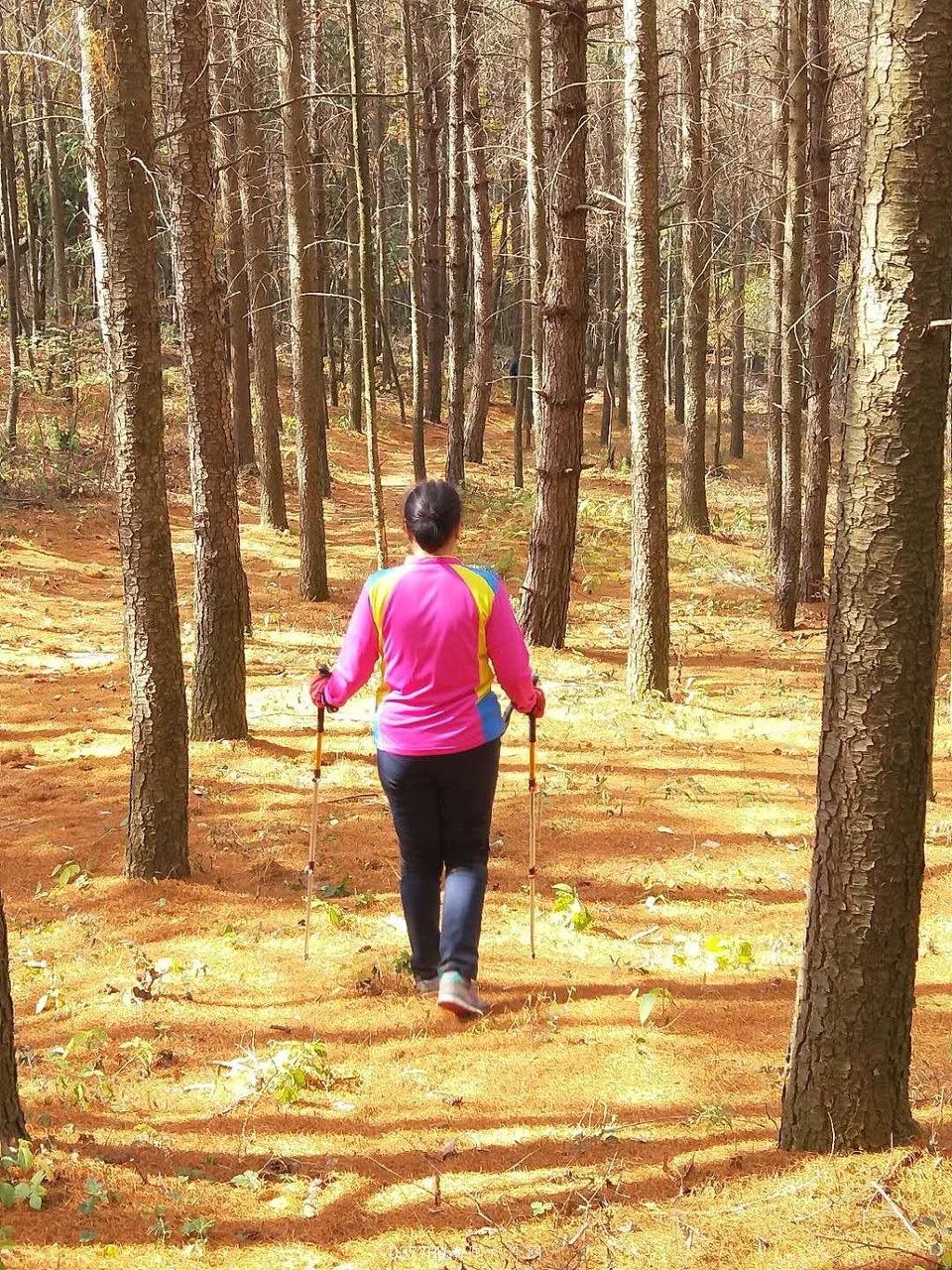 ONUngjWsYN1wsHGuU-YYycRRtAcsLIAq6js33RySEZzReHWTEGPZduPGfZ-JHsNi