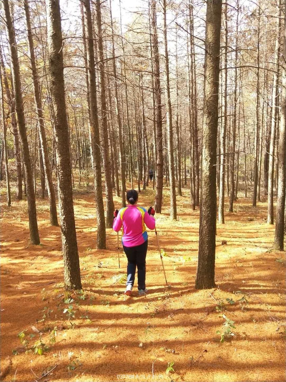 uroEXMtUdg1aU8JTSgiZIQTFwEljEmJvTHOwWKylXH-AsdT_FJoNPv-ke4WA5yeH