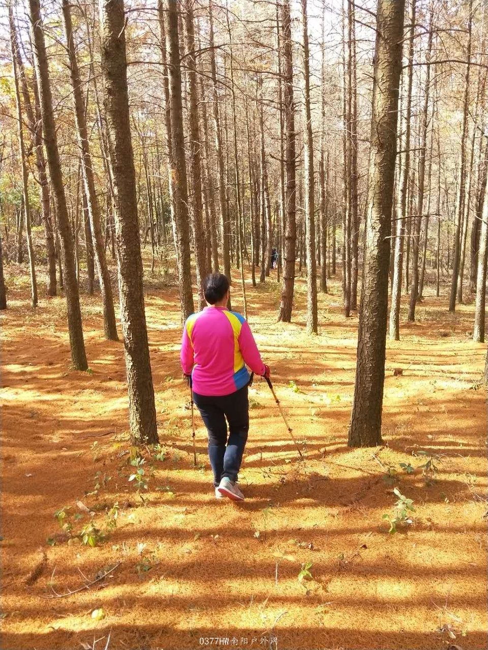 87W0u2s6Ub0Vo2vOUBGW6_HZFy1_VnVv3bdm1fiRO_e0InQZanLY_nlOCKK3sWRa