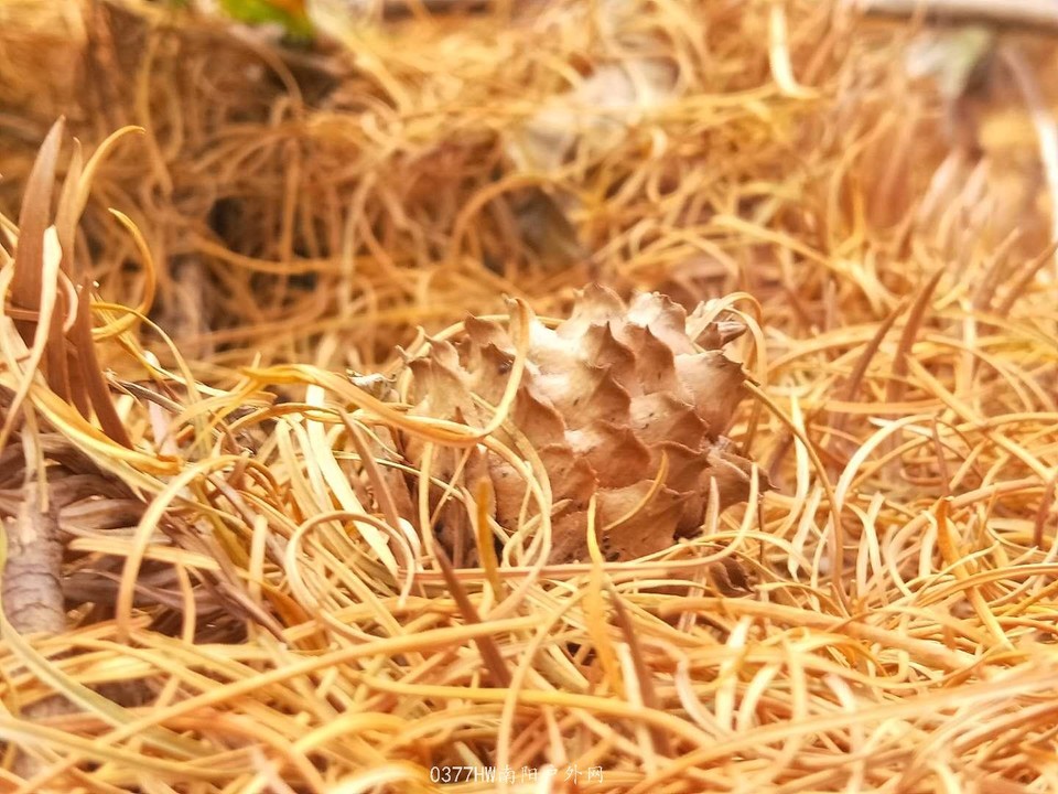 9gmOeUhRDFUU8smxF5ZwK1-U-ziwDozqAVWqI8oYucqlEKMrZ4e0g59MiHnTxvD5