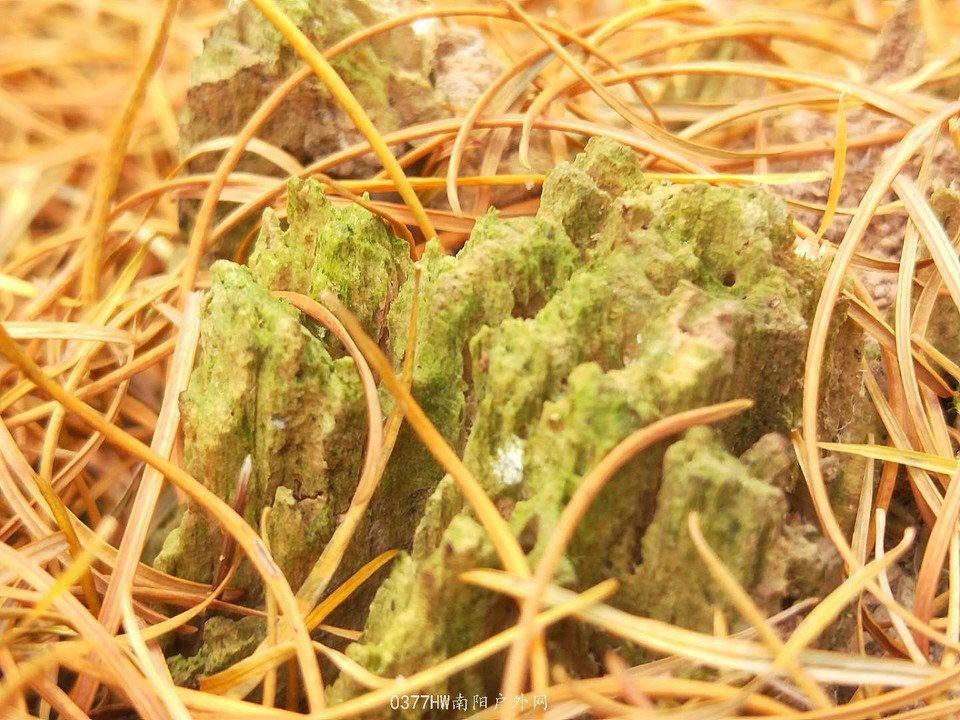 GTuDVN2POHJ3inCOZJn_9KJ2i1ErShkovTLZBwrdf1-Oy4GXpBSl3s51O-vgMYhX