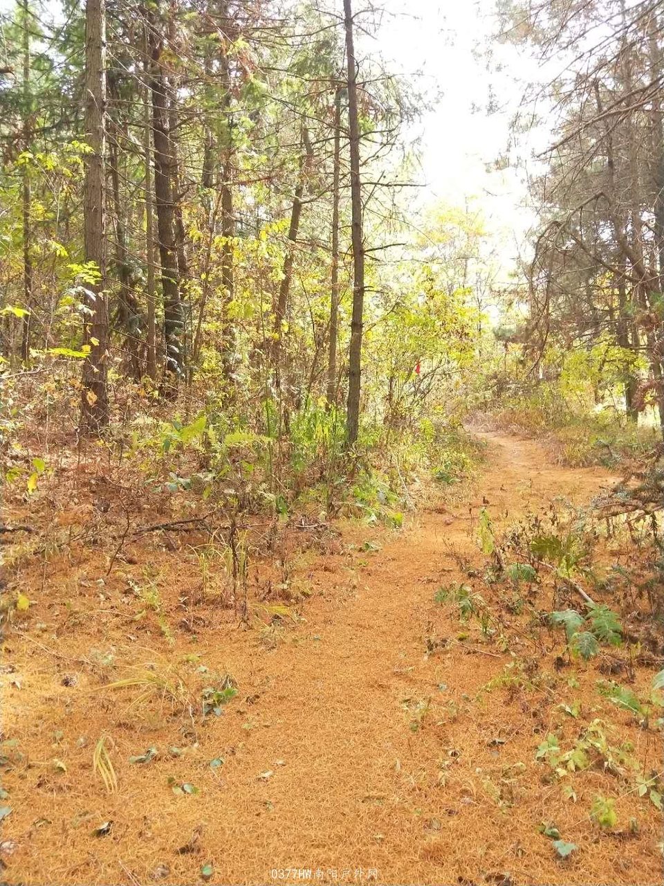 Y_Wa63GmixQV3v03YzrUEn2T3pWHrstA0gnA7Yg1RmNUOi2IutBbClWJFGO0l2kc