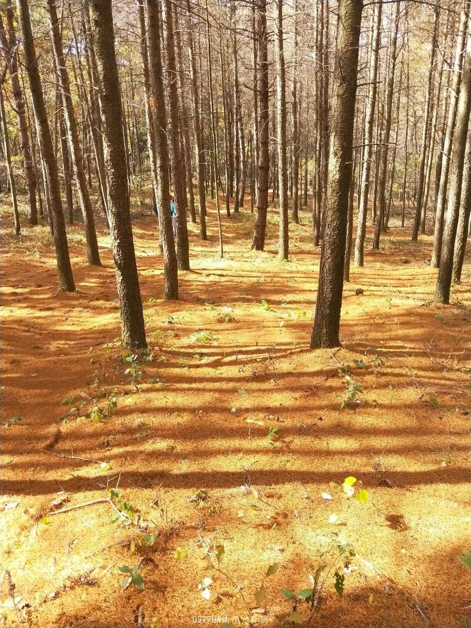 bPDutro_1kNXGvnP7LGRk-tPgXT5vxkNM39t4BGyNWRckOLReqFAJNIVBTwFqvL4