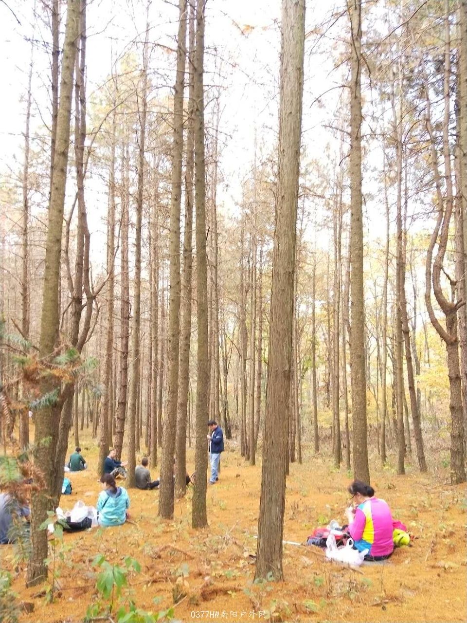 mqrVdhEwA64S_a6ruUhMjUdxbzQ7_tw8U7ARMwUNdsmj9HTYUy-44jRAENgNe4dA