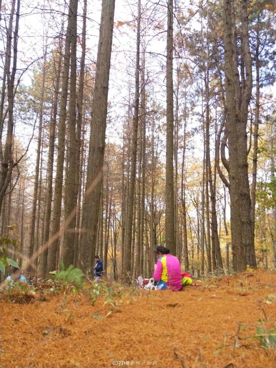 7P6ZOZYzaEyQ2oyclS_Y9lfcQFjSCqxYsIVQGsNnCLtEoHc3AgaEmgDHNV8itbuI