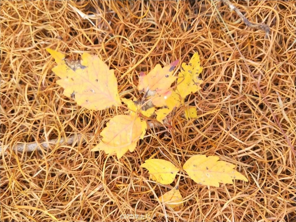 b1X-xdtE825qtz6SbprWaumOH-QNpWIrwhcDwC6_hNIrUegtc0Mdk1V2EJD_Lem-