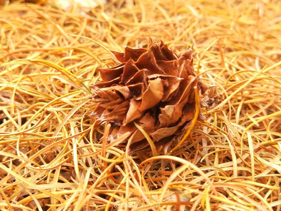 p5kKXnIU8LEgastXtb-aFlnc_0HZZCnXuiPWIc-9SyDkzb4MnHztT907JphU471J