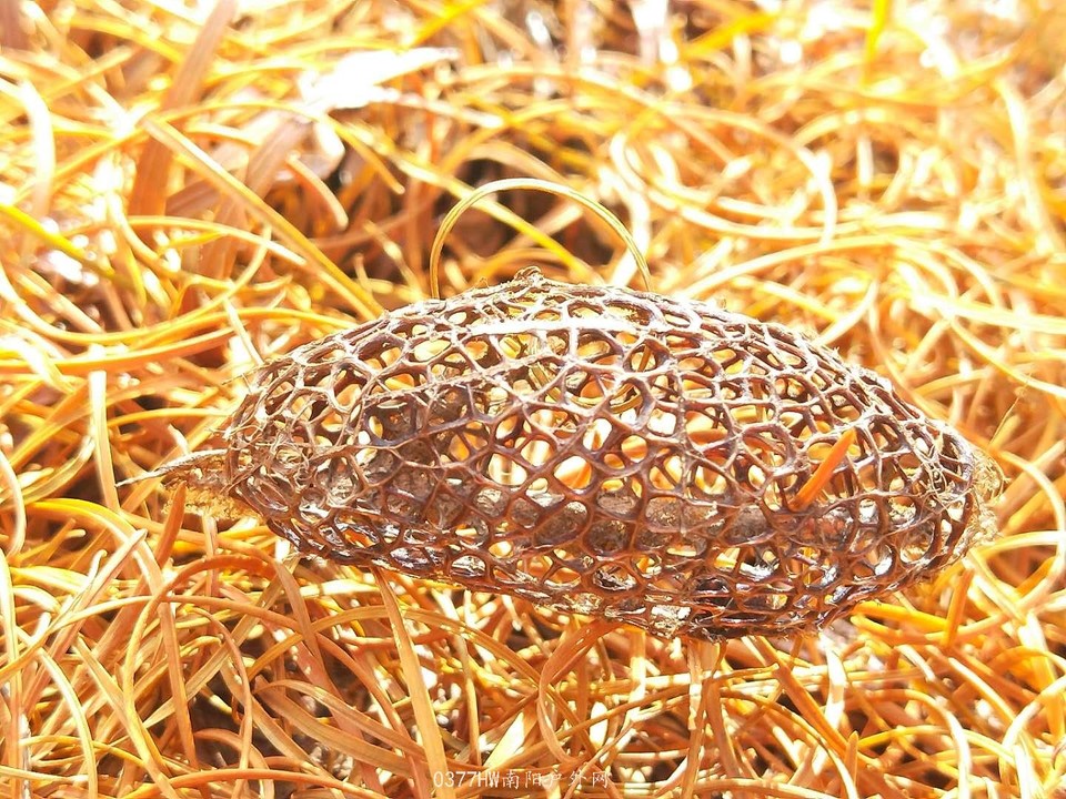 h_SV1At6v_iWFr4l7u5oHeHoOHvTdAB_QHPWeBMuLT38ri7uMFXYnzjbYMYTXiUy