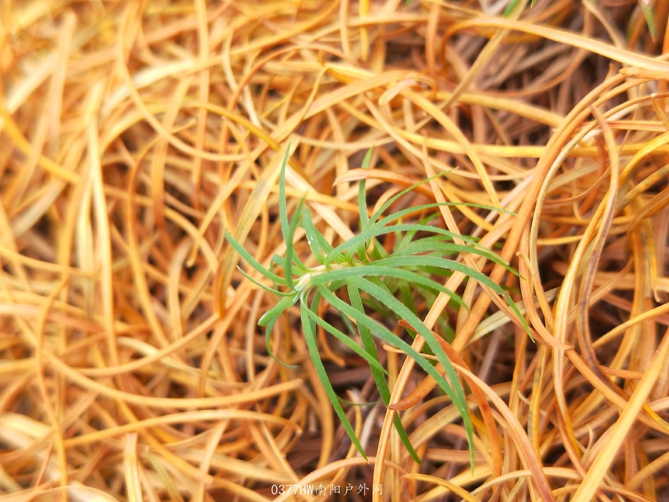 kBTufCvmYd1yenoItEIu-oeAI5UeyUpGkSU3EKqwV6f5gLxvD_x7ITUEZ2WDsalO