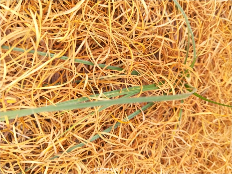 DrPEBDpYIBtYmPWRl14xmycKvDrJXrsMNXaE6xFKI-sUOCJGWDw-OrNROQjPcDm-