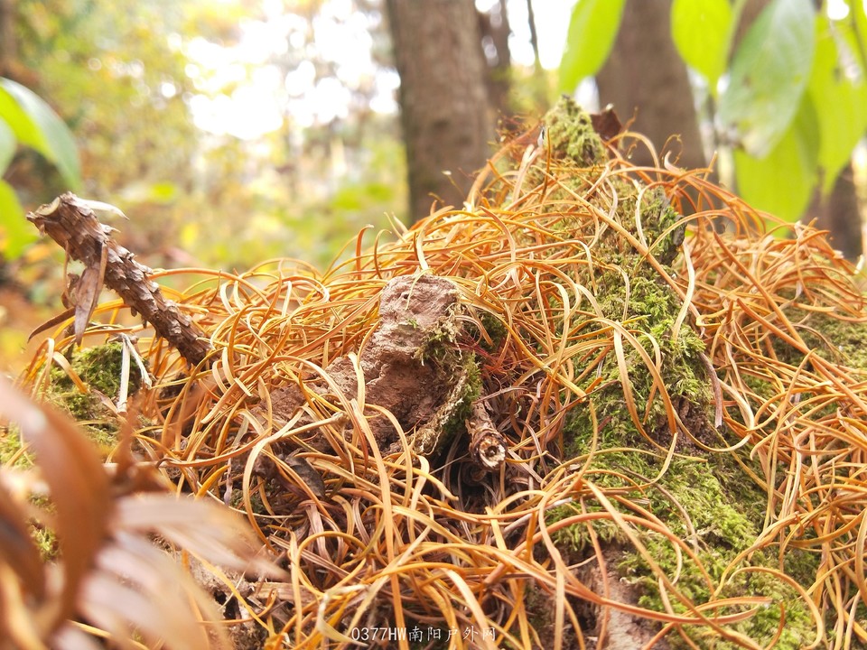 M7I7XaXRQajBMeTrTaz4NHZeFSbLI2J83rxbnMOOEah6NTsxlxMFC0H6YWkhrUrA