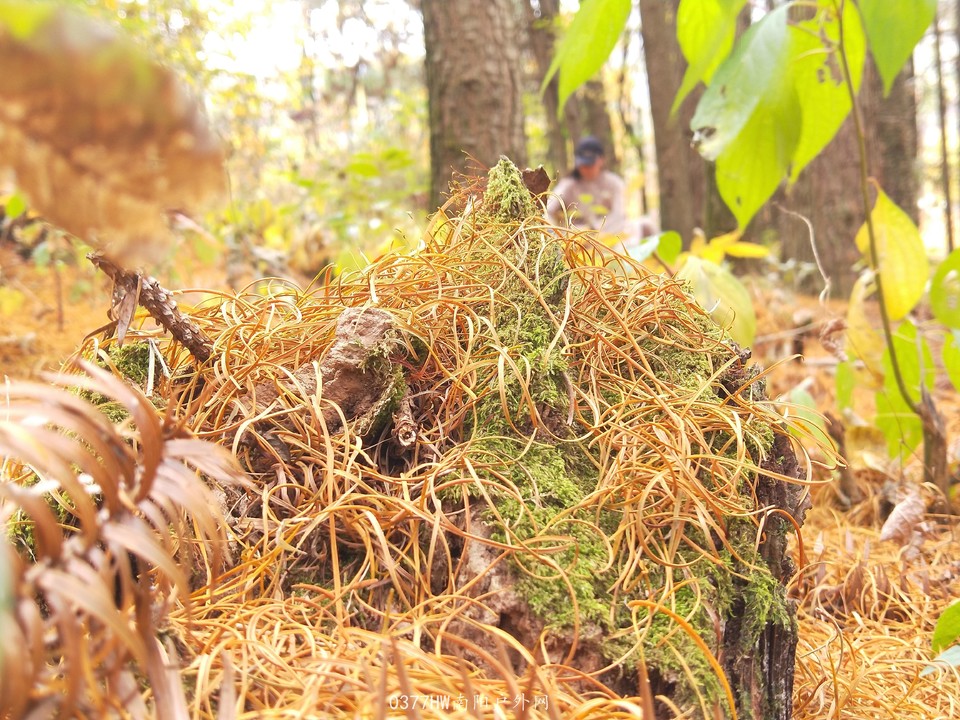 w3TXGGSnOBT_QDZiWdVRJA8FYWmN4O0GucjTAYpXWBeutPWU8AMKZa9BKJuVF7WK