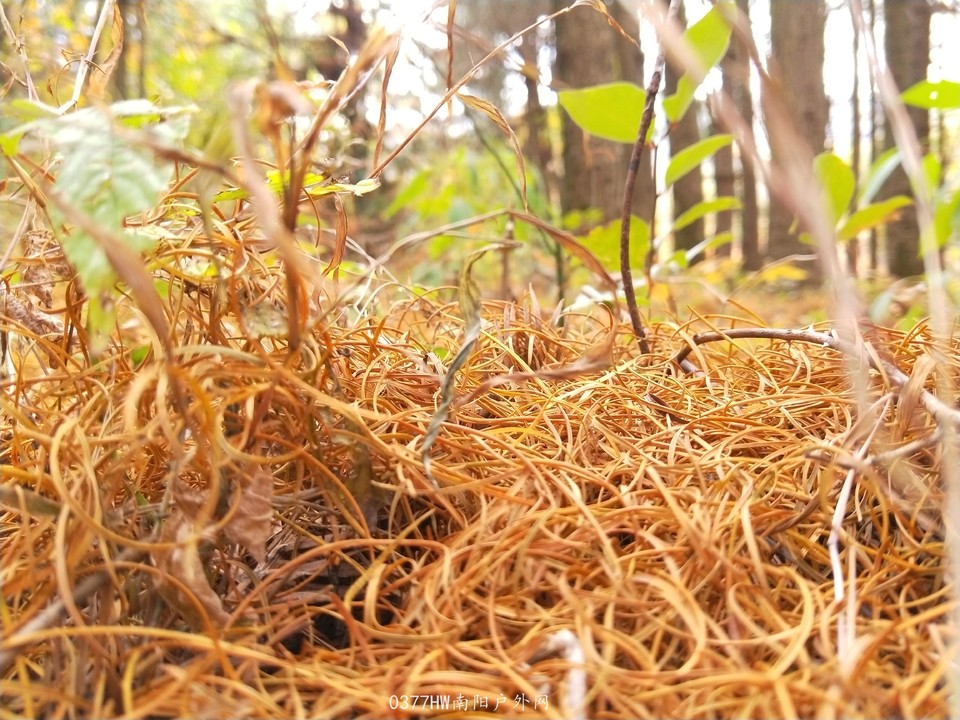 fIvnmNmtlawOVAG6j3FwEFcy4Wu_XTy5-N4xYz307LhSONhELkQO70_CsjQ8W7V9