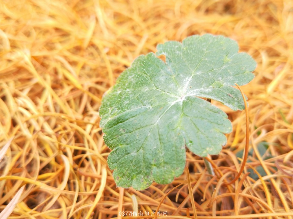 A6wkHXNATiQ5aOnTeZFW2EIeiHGNu4BraRB7K5QmX7RJbd4XJWlU4ghqlhgtBQ4R