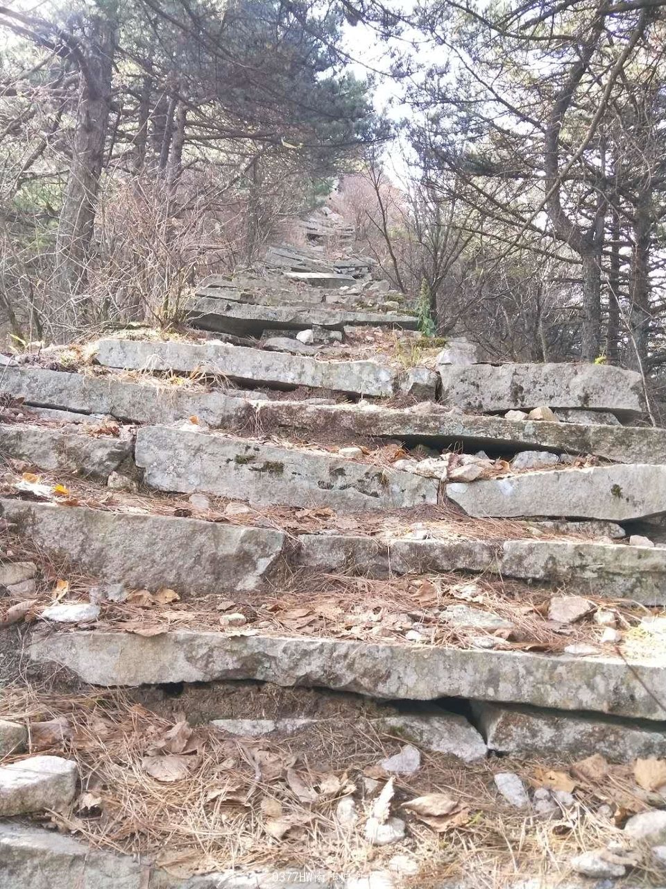 JZhko3QlafSe4di7J2rXPZoBrg7gn4r4QJDFPOzCRKjqRpJnT49BUH69dNWmEXNE