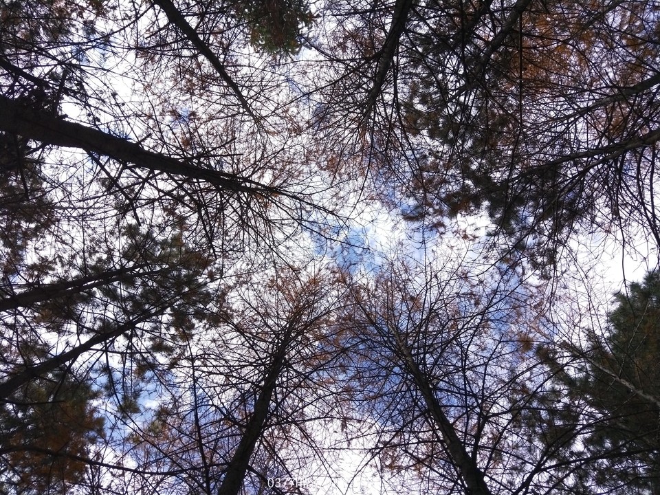 FnlvG9IwcNF0D55xLxxOCGLHGRfVsJE7I0K23qUzkC_p4OuHOmFV5PF7BdARRhw2