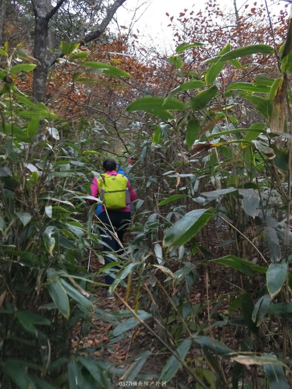 yQya9GGYuZKTCj32iajjkRMpCAt3w4Gk16Vq2wch6yTIy4hllLtnRh7-kDOfyV1d