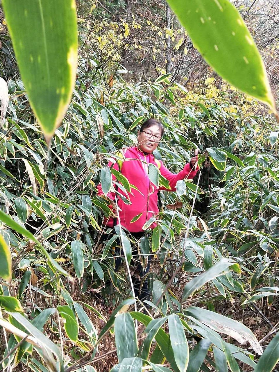 W5SpUR3JYLJjVKJimIC9hbuTeC5N0gAUu7yXimiPPapb2RHaOZFIaqLcS-FsSLzG