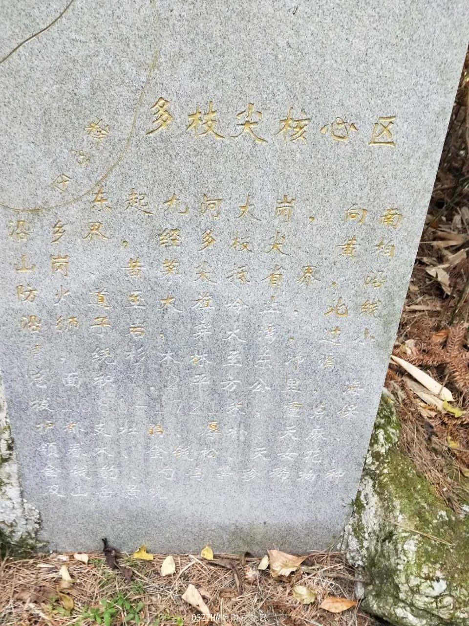 PxxEdrINgxeB0wXRdw45nrtw8k_w84KMkyEzqsAdjiCcnuWwUGlzLeSXckMQ0C-Z