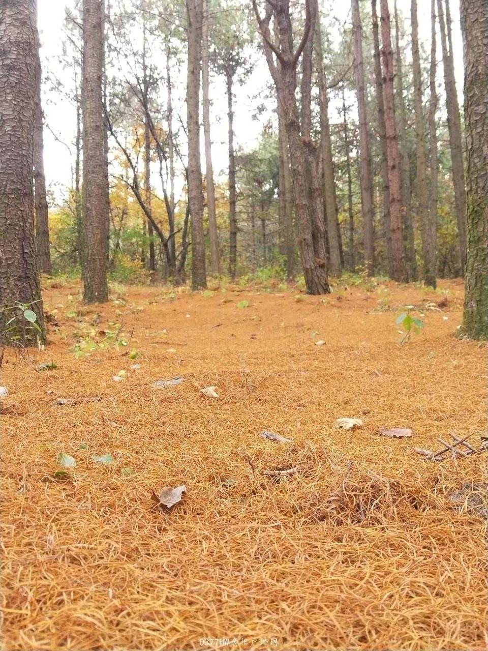 l4aK2crE5KoRjtPPmyKZzlQd8ni4C6igHT4MXYHFS1H4oLKx-mY0-6cQsn0GO57U