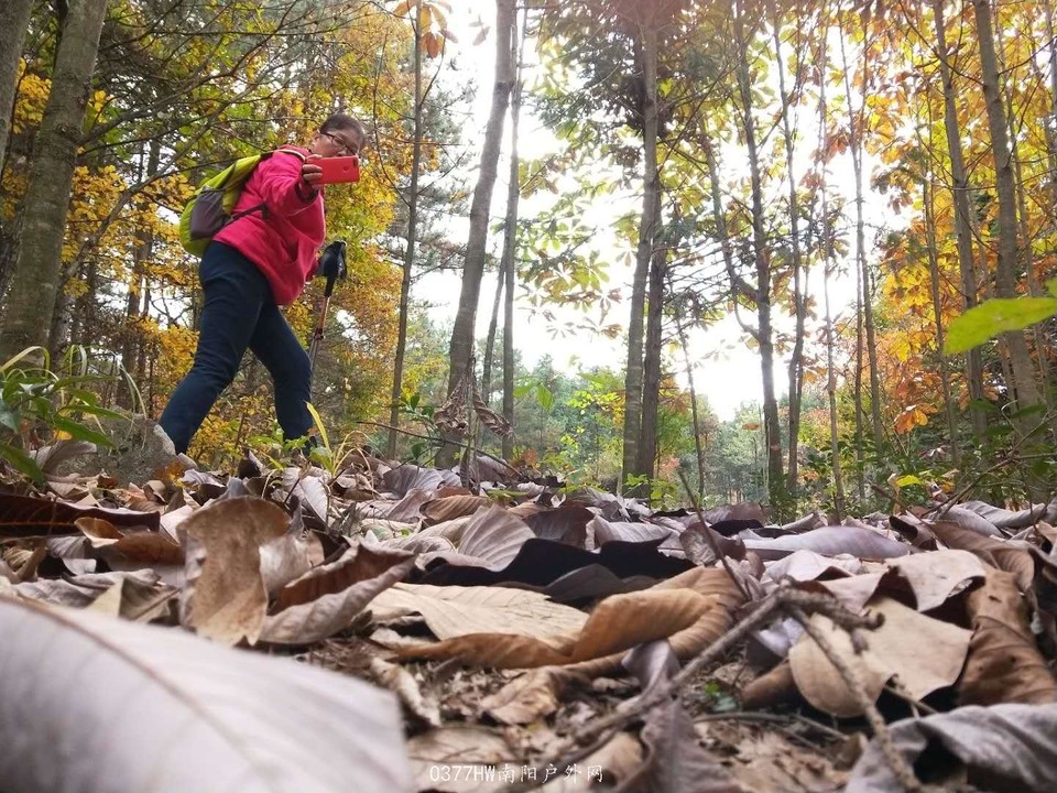 ccWPm0d4nEoyqS01np-s0Mv7JdxBOXe2jw-88xCSCDIuvwbDH8AyN2f3d9nJTs5q