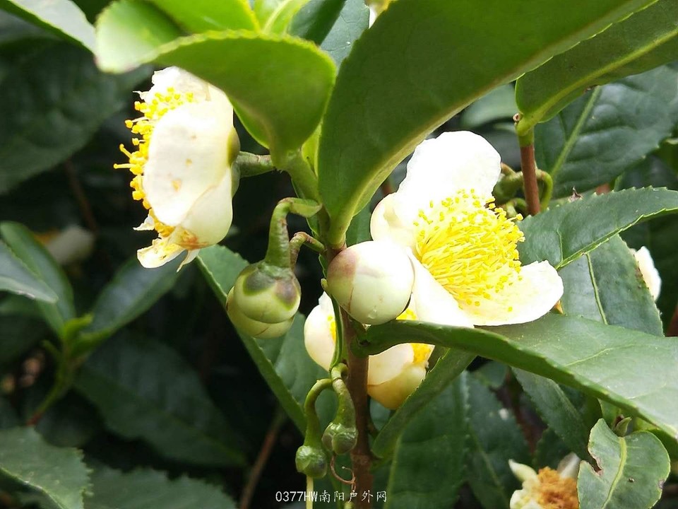 nyqKCySfBzN6UxFBtVtQzEfRpsR6WSiYIV6Z2q7oWwlLWp6MjOK3H371zybkcpkA